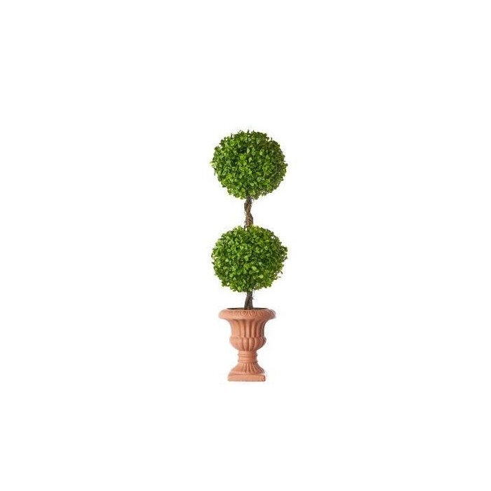 TOPIARY BOXWOOD 65 CM